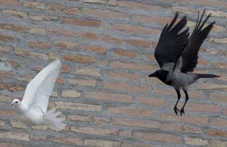 DOS PALOMAS BLANCAS