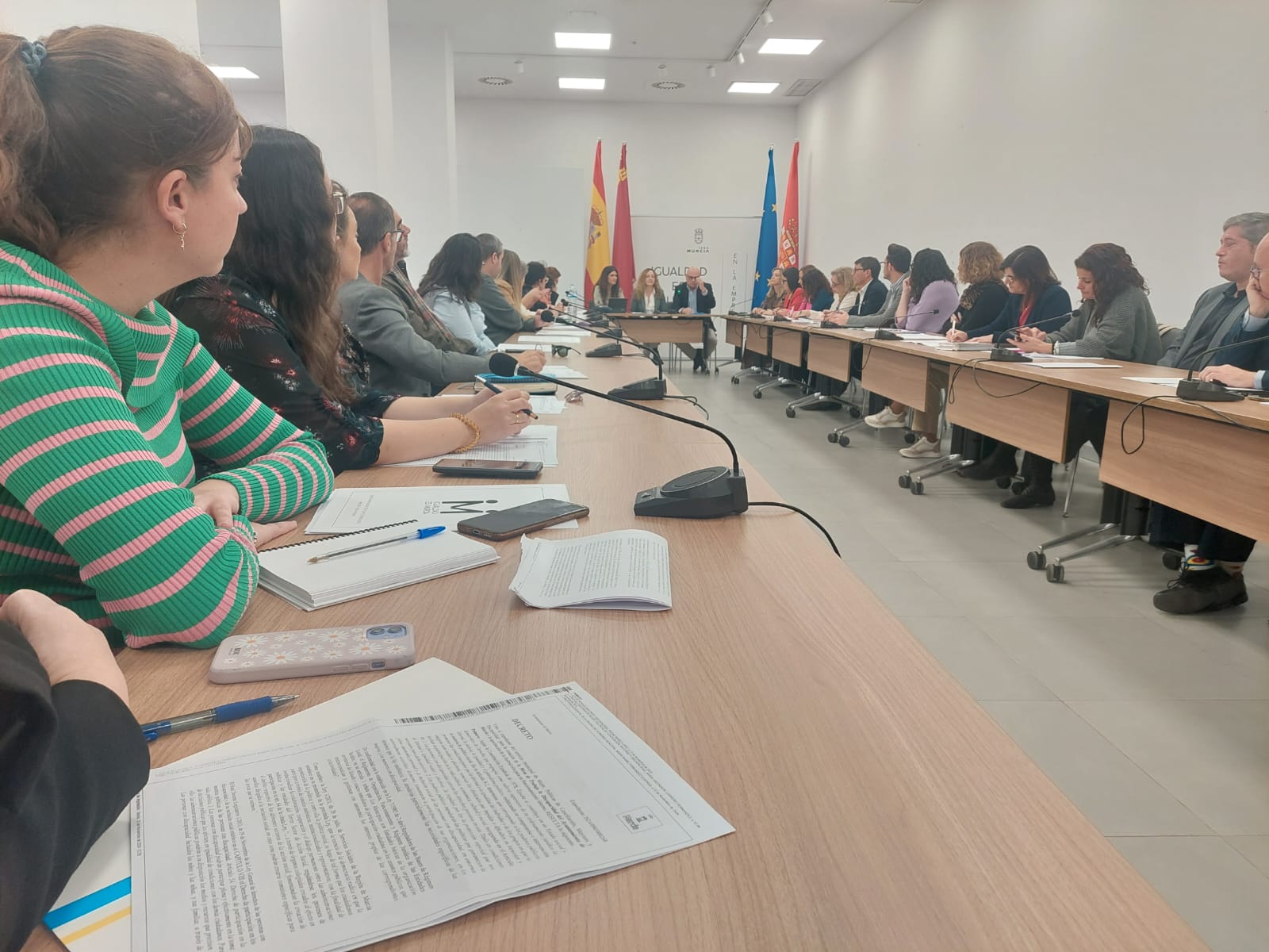PARTICIPAMOS EN LA CONSTITUCIÓN DE LA MESA DE TRABAJO DE DISCAPACIDAD DEL AYUNTAMIENTO DE MURCIA