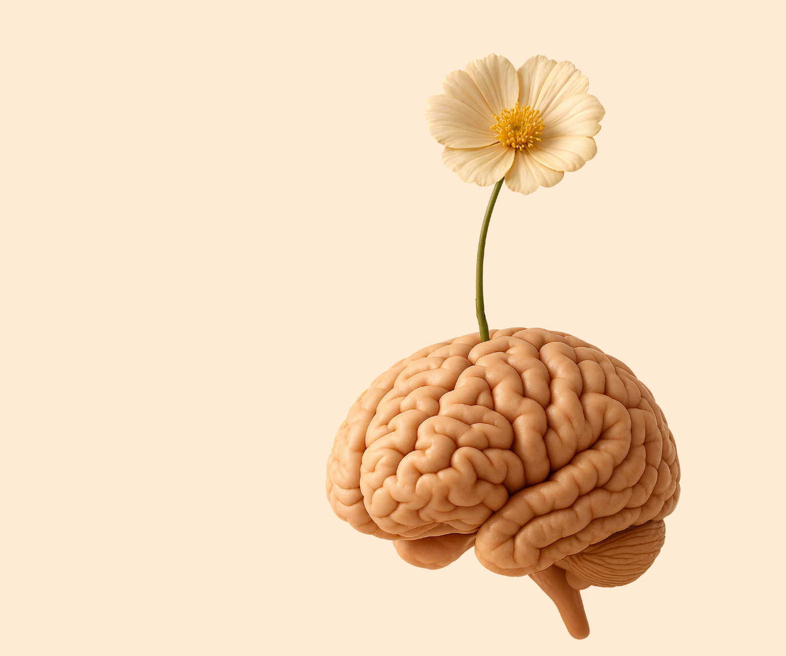 Semana Europea de la Salud Mental: Actividades de Fundación SOYCOMOTÚ